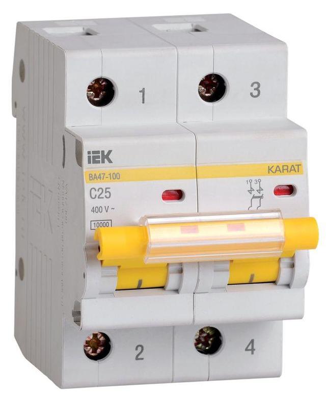 Выключатель автоматический модульный 2п C 25А 10кА ВА47-100 IEK MVA40-2-025-C